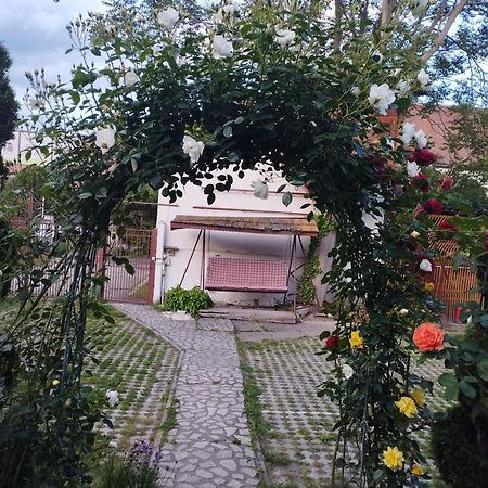 Pensiunea Sub Cetate Дева Екстер'єр фото
